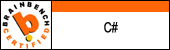 C# Programmer